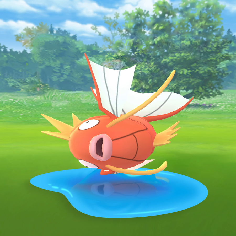 Pokémon Spotlight Hour with Magikarp, Shiny Magikarp and double evolve