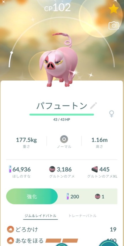 Pokémon GO screenshot of Shiny Oinkologne that knows the Pokémon GO Community Day exclusive move Mud Slap